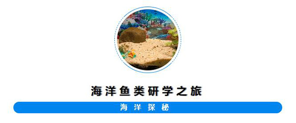 �������׶�԰̽�������������֮��